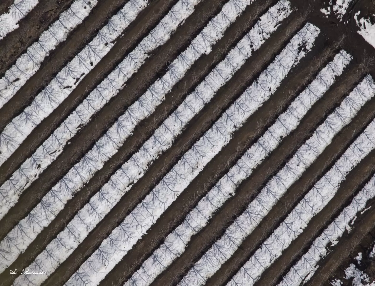 רישום בשלג - ארי בלטינשטר - צילום אווירי  - מק''ט: 219888