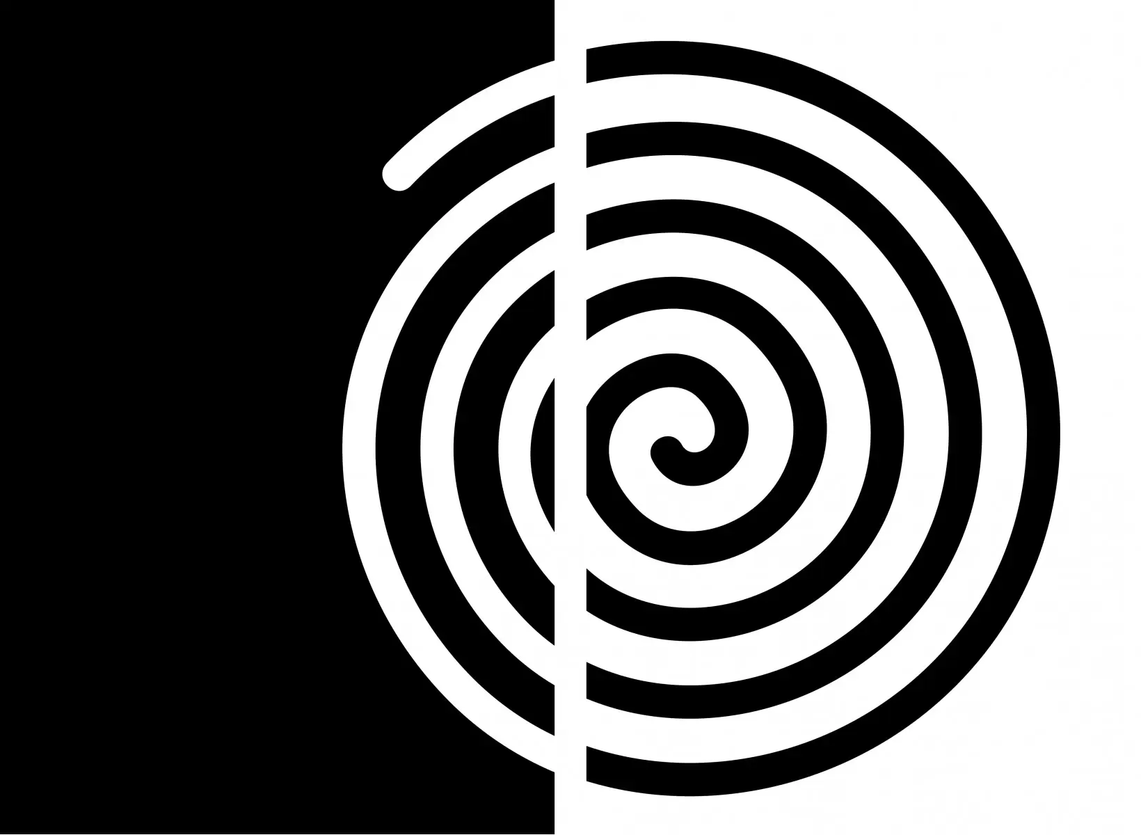 שבלול שחור לבן - אתי דגוביץ' - תמונות בסגנון גיאומטרי אבסטרקט מודרני  - מק''ט: 99088