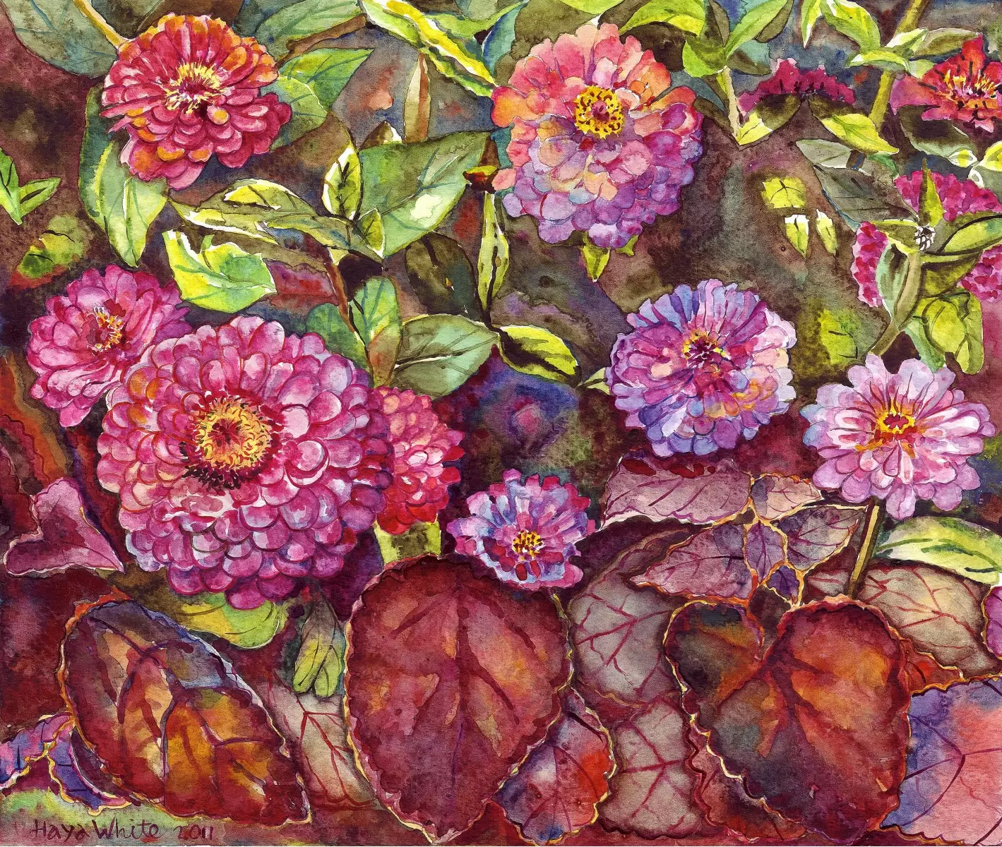  פרחי ציניות - חיה וייט - צבעי מים  - מק''ט: 213168
