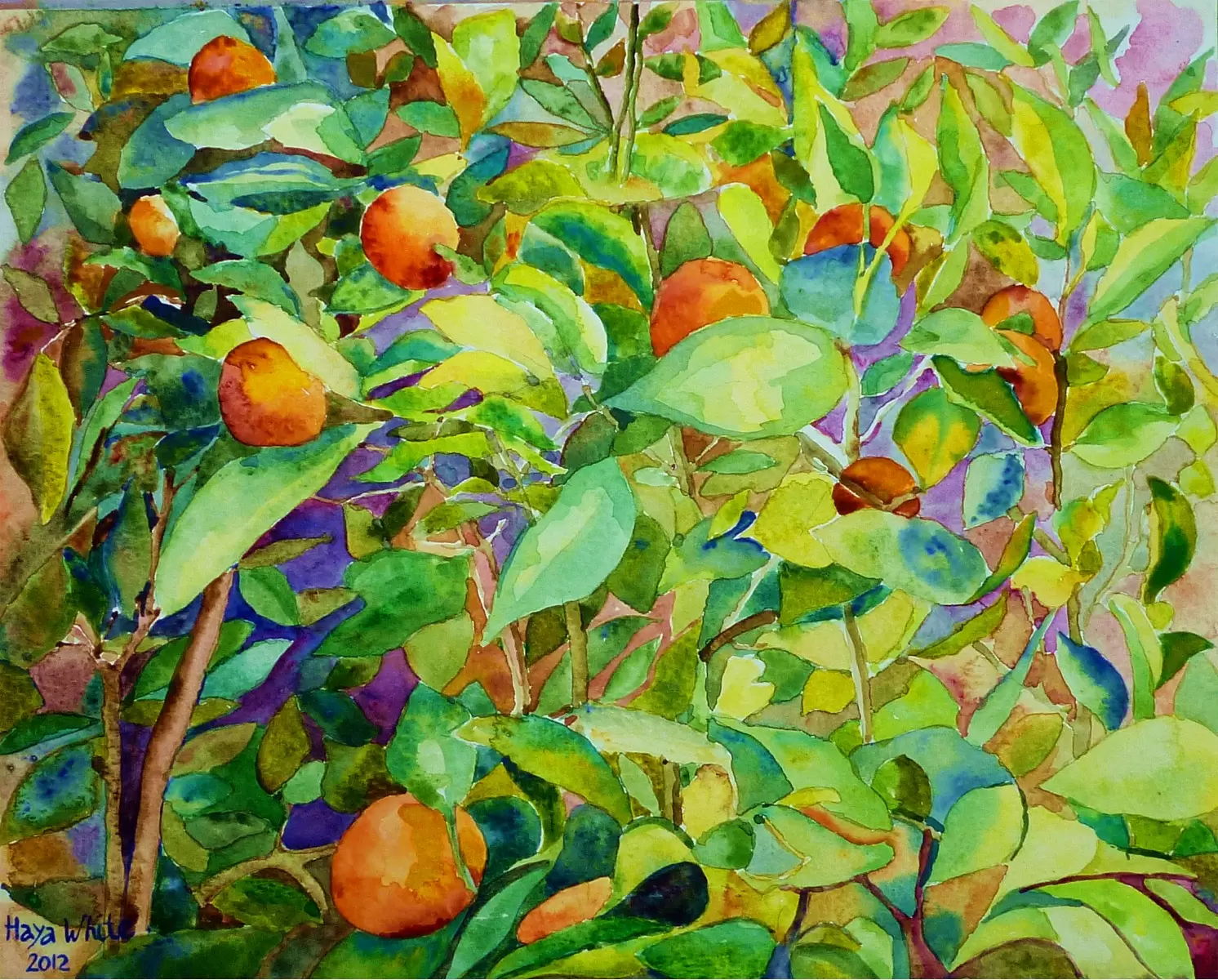 תפוזים - חיה וייט - צבעי מים  - מק''ט: 213203