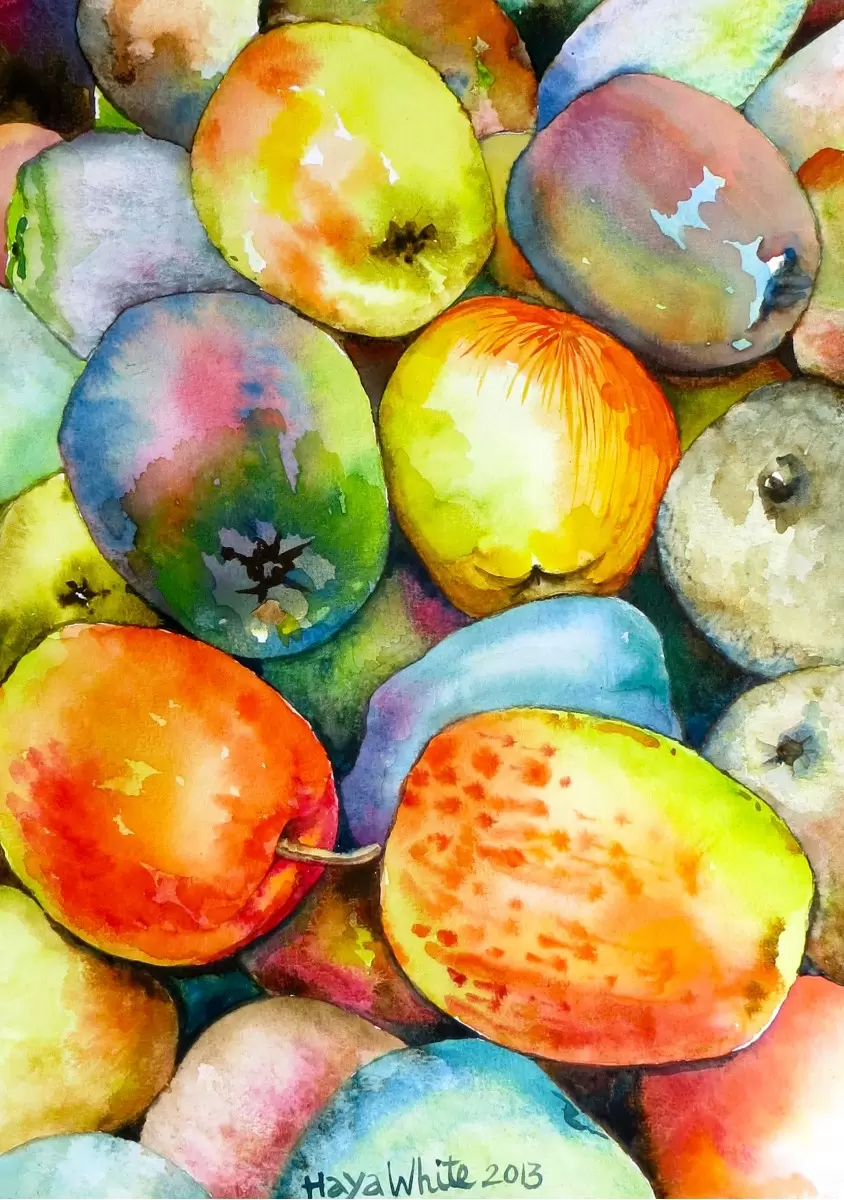 תפוחים - חיה וייט - צבעי מים  - מק''ט: 229879