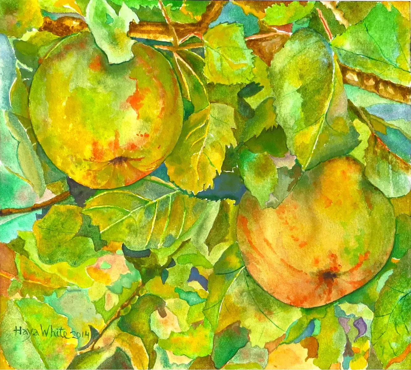 שני תפוחים - חיה וייט - תמונות לחדר שינה כפרי צבעי מים  - מק''ט: 246066