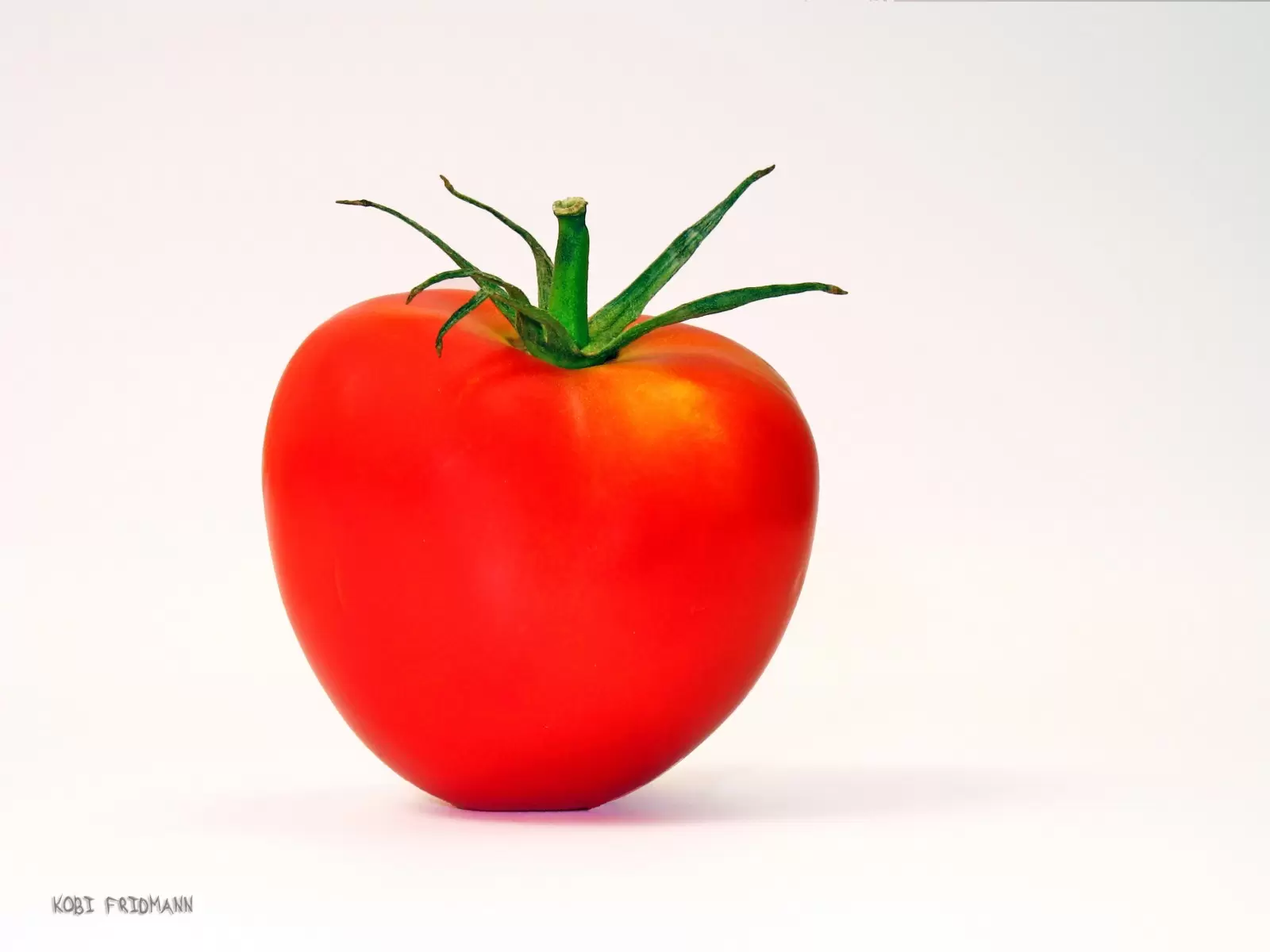 עגבניה - קובי פרידמן - תמונות למטבח מודרני תמונות סטודיו רקע לבן  - מק''ט: 19710