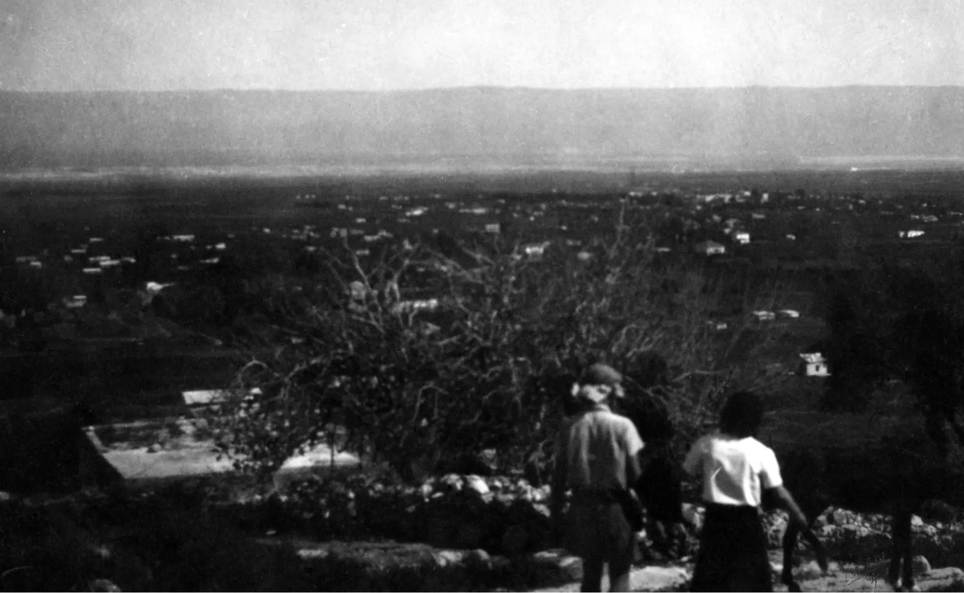 יריחו 1945 - תצפית - דוד לסלו סקלי -  - מק''ט: 142241
