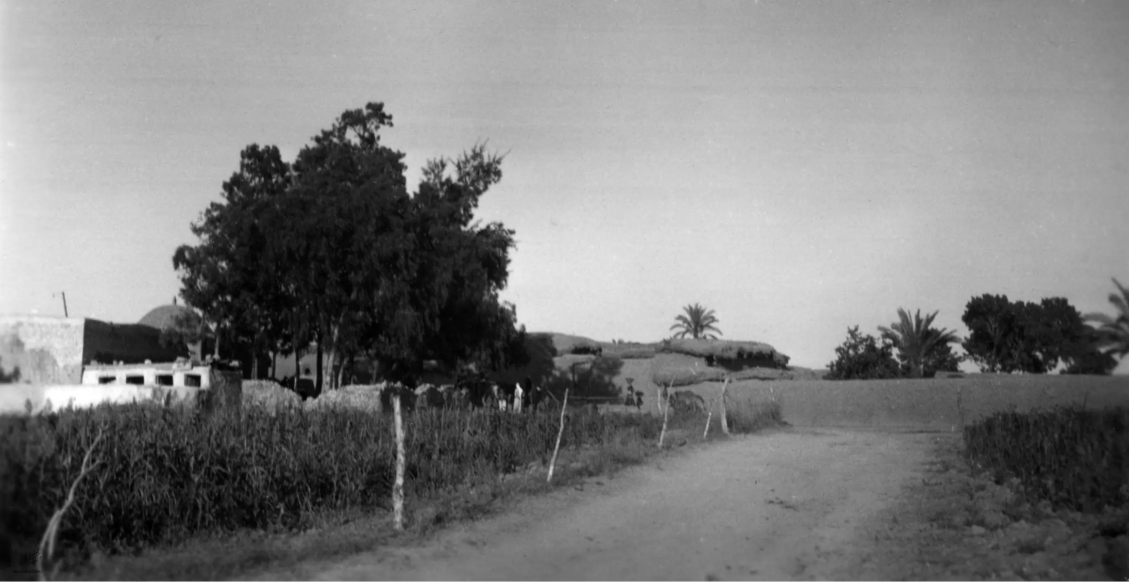 בית ג'ירג'ה 1940 ליד הבאר - דוד לסלו סקלי -  - מק''ט: 143791