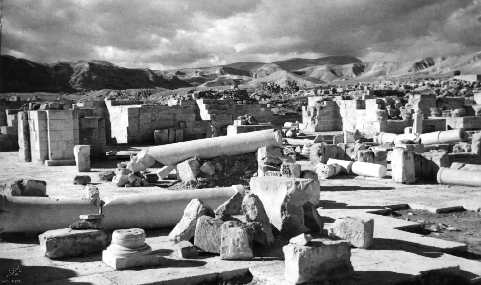 יריחו 1945 - חפירות - דוד לסלו סקלי -  - מק''ט: 144232