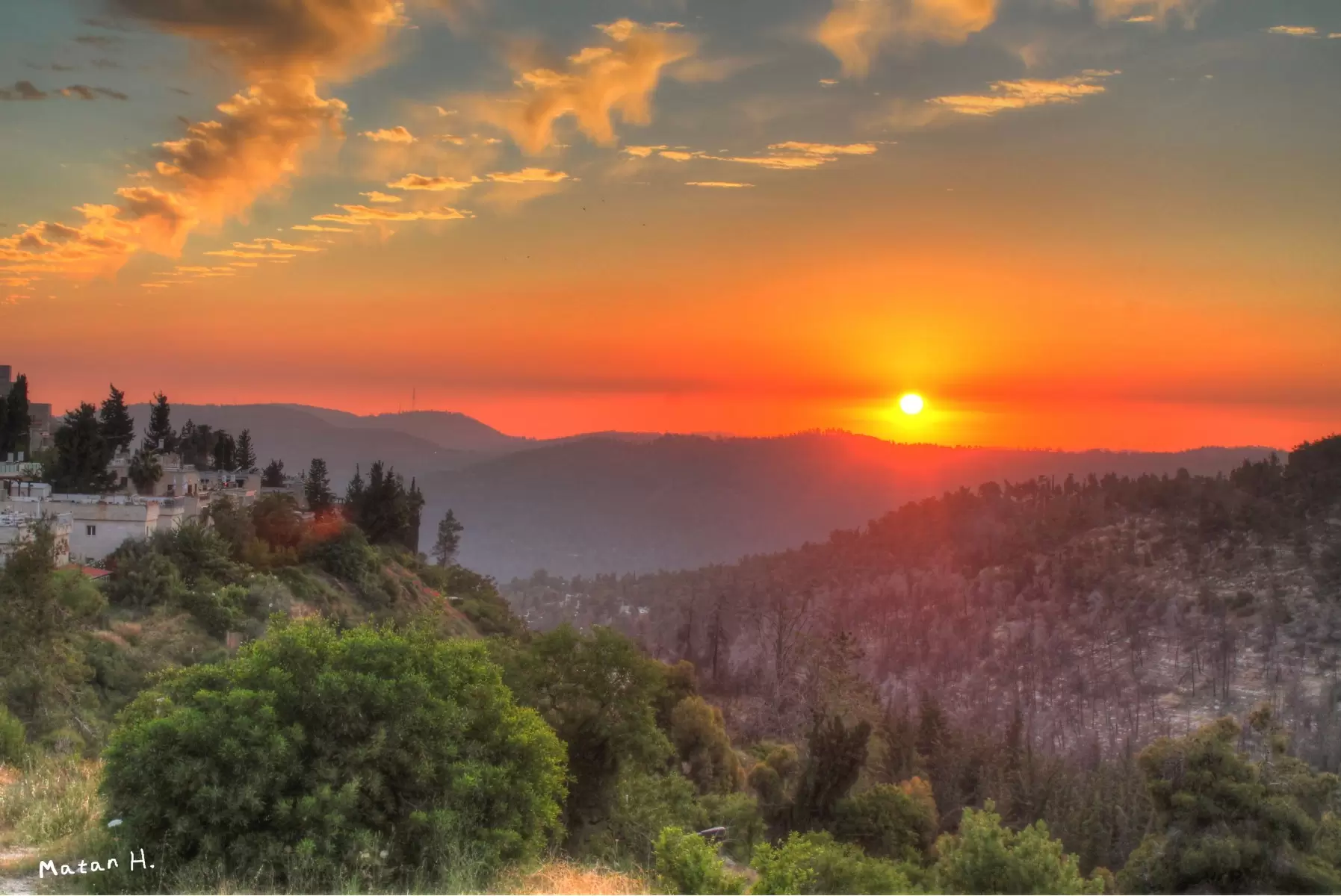 שקיעה ביער ירושלים - מתן הירש - נופים יפים  - מק''ט: 286911