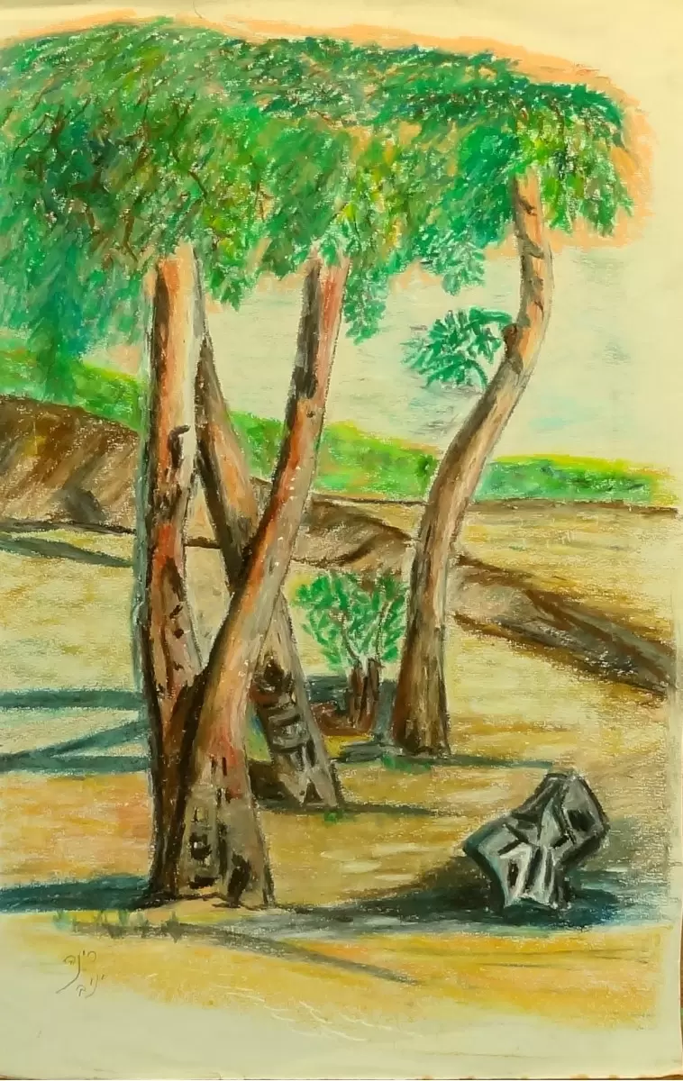 עצי האקליפטוס - רינה יניב -  - מק''ט: 255504