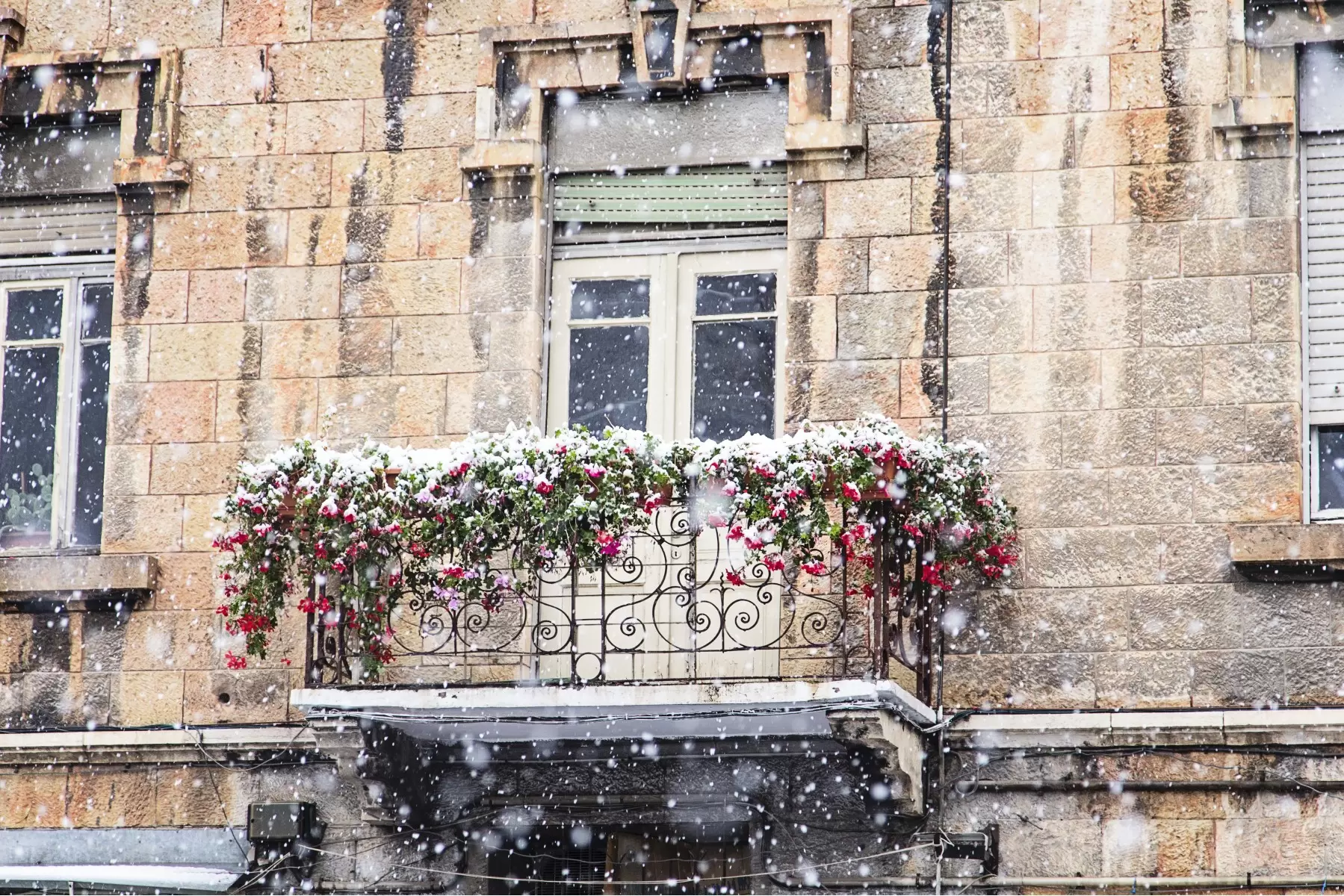 שלג בירושלים - ויויאן נתן -  - מק''ט: 258439