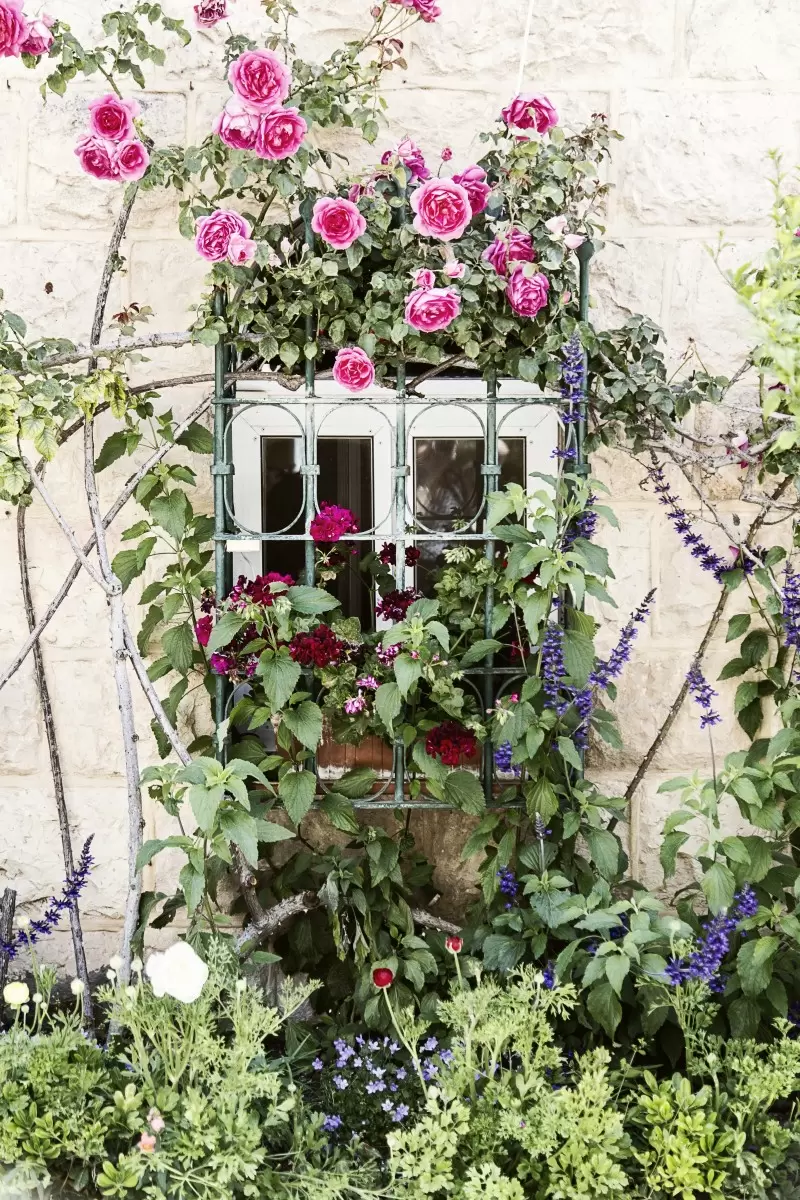 חלון עם פרחים #2 - ויויאן נתן -  - מק''ט: 292975