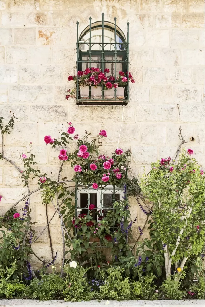 חלון עם ורדים - ויויאן נתן -  - מק''ט: 309890