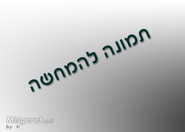 תמונה לדוגמא 1