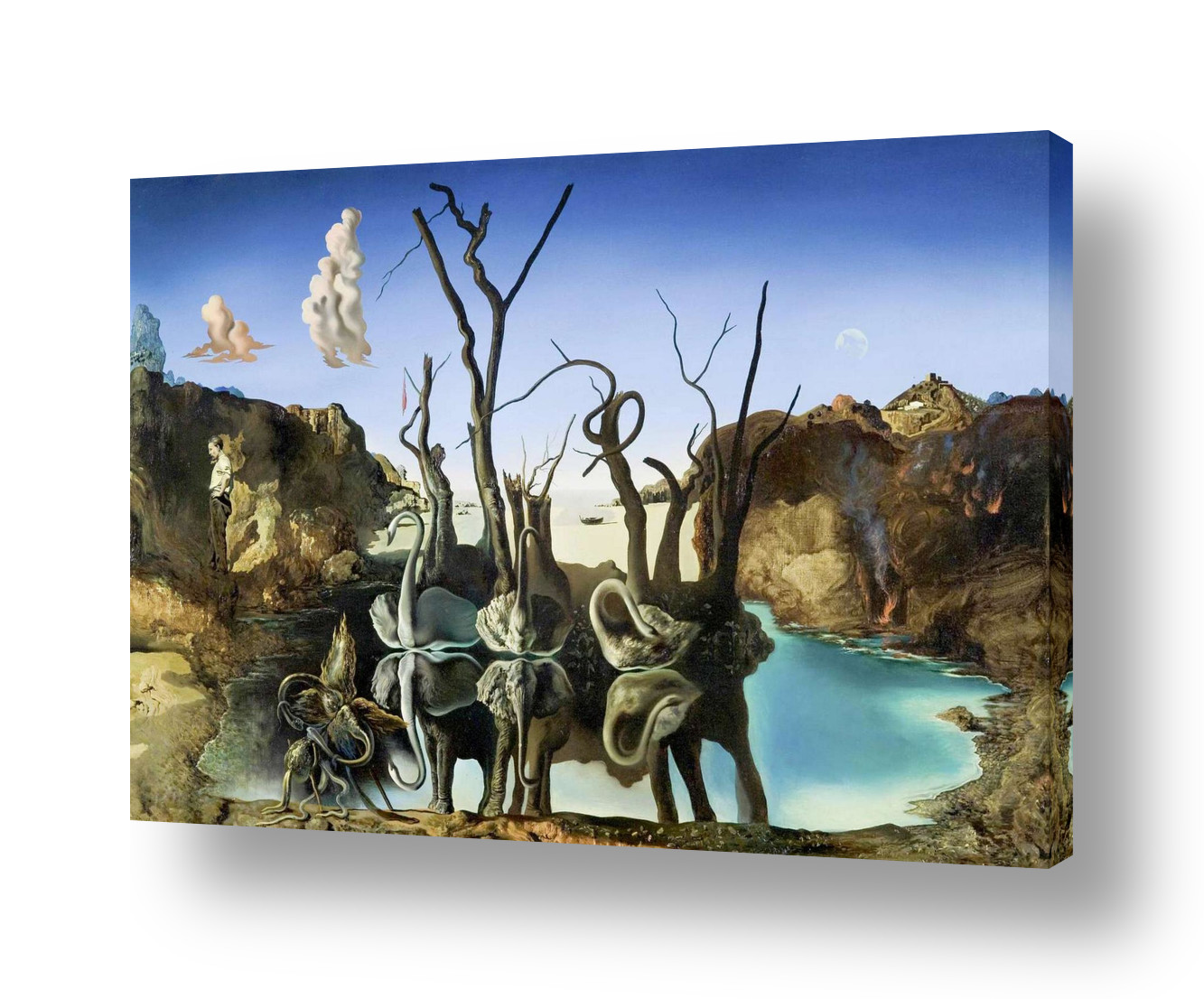 Swans Reflecting Elephants by Salvador Dali | Ready to hang canvas ...