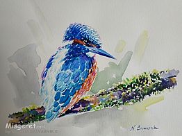 KING FISHER