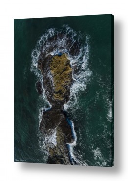 שרון טריבלסקי שרון טריבלסקי - צילומי טבע ונוף - צילום אויר | נפטון אל הים