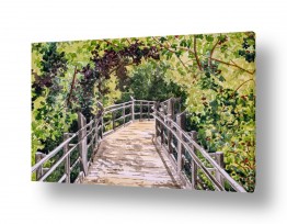 תמונות לפי נושאים אורבני | תמונות במבצע | גשר אל תוך היער