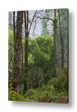 נושאים ציורי נוף על קנבס | בתוך היער