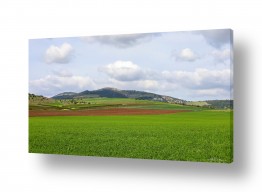 ירוק ירוק | עמק ירוק בחורף