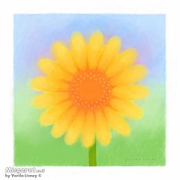  חיננית Yellow Daisy